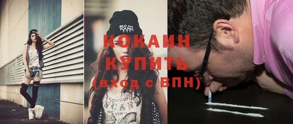 твердый Абаза