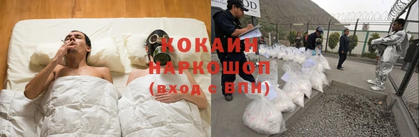 твердый Абаза
